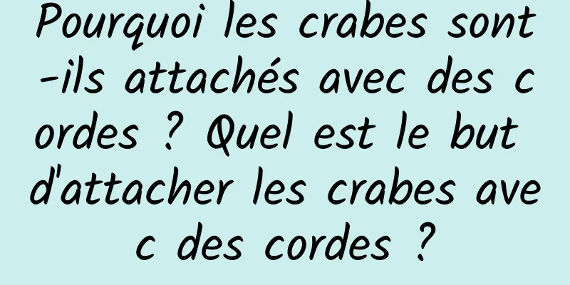 Pourquoi les crabes sont-ils attachés avec des cordes ? Quel est le but d'attacher les crabes avec des cordes ?