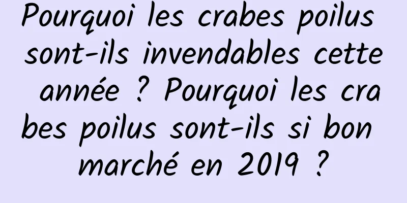 Pourquoi les crabes poilus sont-ils invendables cette année ? Pourquoi les crabes poilus sont-ils si bon marché en 2019 ?