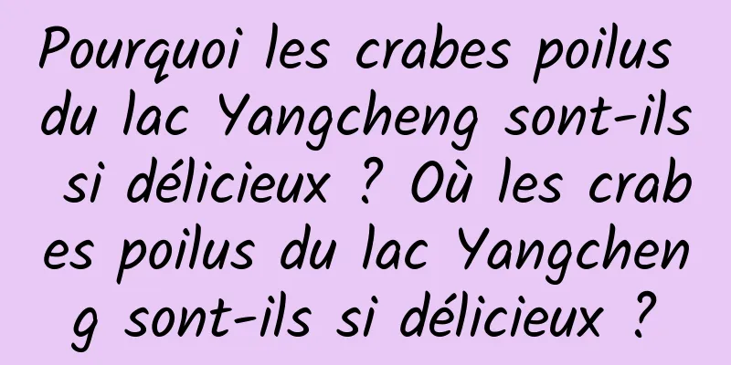 Pourquoi les crabes poilus du lac Yangcheng sont-ils si délicieux ? Où les crabes poilus du lac Yangcheng sont-ils si délicieux ?