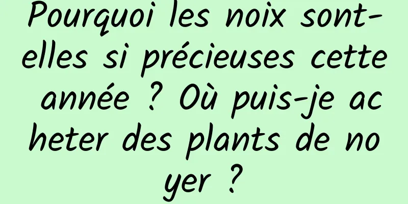 Pourquoi les noix sont-elles si précieuses cette année ? Où puis-je acheter des plants de noyer ?