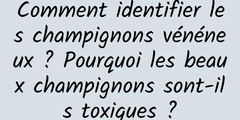 Comment identifier les champignons vénéneux ? Pourquoi les beaux champignons sont-ils toxiques ?