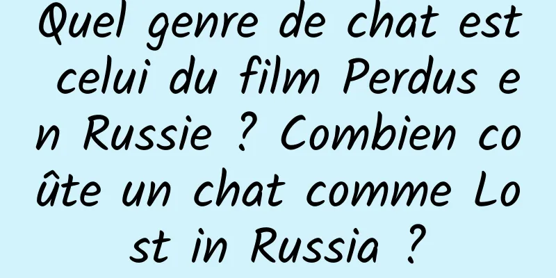 Quel genre de chat est celui du film Perdus en Russie ? Combien coûte un chat comme Lost in Russia ?