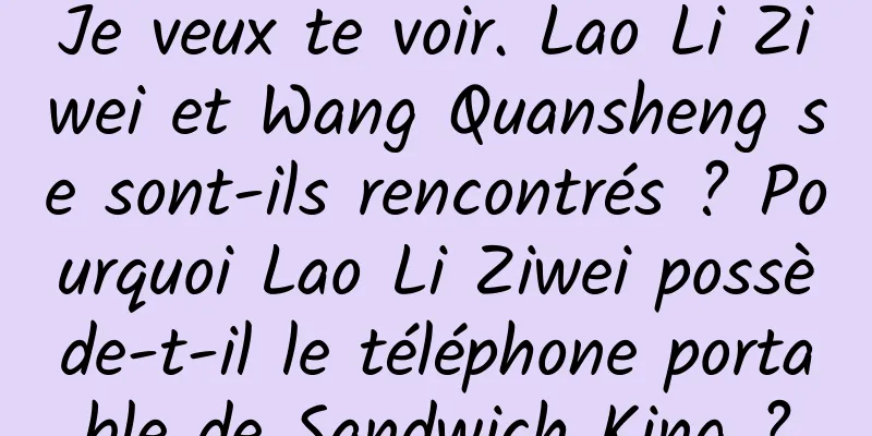 Je veux te voir. Lao Li Ziwei et Wang Quansheng se sont-ils rencontrés ? Pourquoi Lao Li Ziwei possède-t-il le téléphone portable de Sandwich King ?