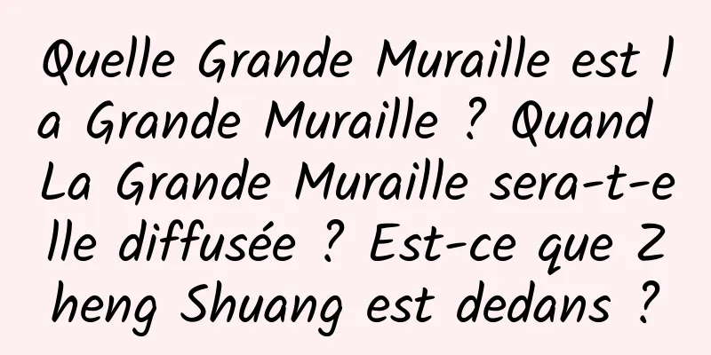 Quelle Grande Muraille est la Grande Muraille ? Quand La Grande Muraille sera-t-elle diffusée ? Est-ce que Zheng Shuang est dedans ?