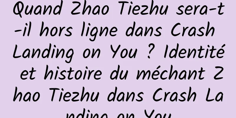 Quand Zhao Tiezhu sera-t-il hors ligne dans Crash Landing on You ? Identité et histoire du méchant Zhao Tiezhu dans Crash Landing on You