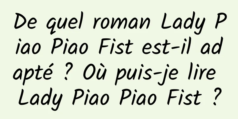 De quel roman Lady Piao Piao Fist est-il adapté ? Où puis-je lire Lady Piao Piao Fist ?