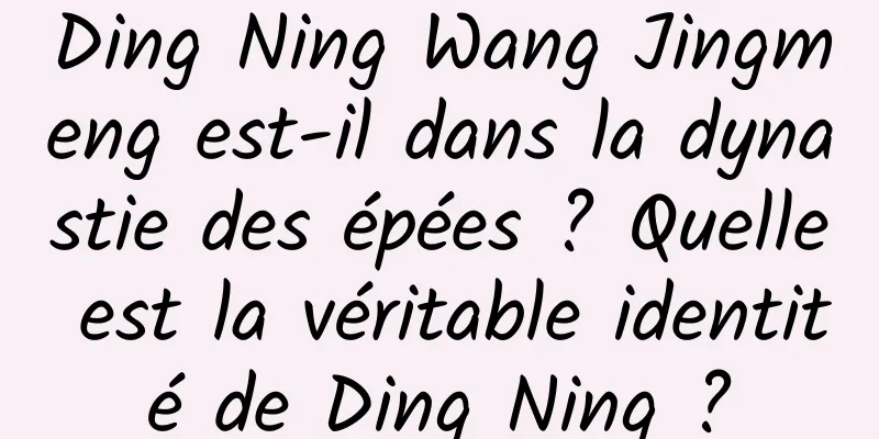 Ding Ning Wang Jingmeng est-il dans la dynastie des épées ? Quelle est la véritable identité de Ding Ning ?