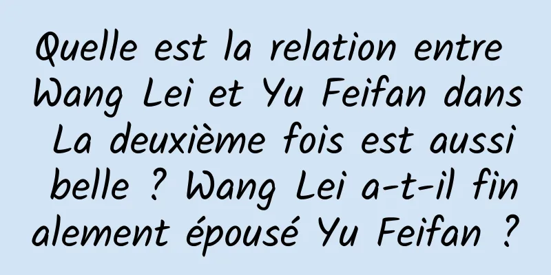 Quelle est la relation entre Wang Lei et Yu Feifan dans La deuxième fois est aussi belle ? Wang Lei a-t-il finalement épousé Yu Feifan ?