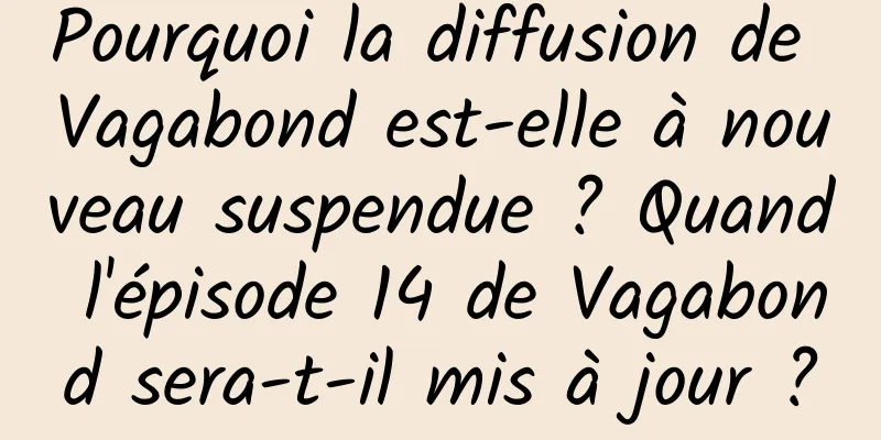 Pourquoi la diffusion de Vagabond est-elle à nouveau suspendue ? Quand l'épisode 14 de Vagabond sera-t-il mis à jour ?
