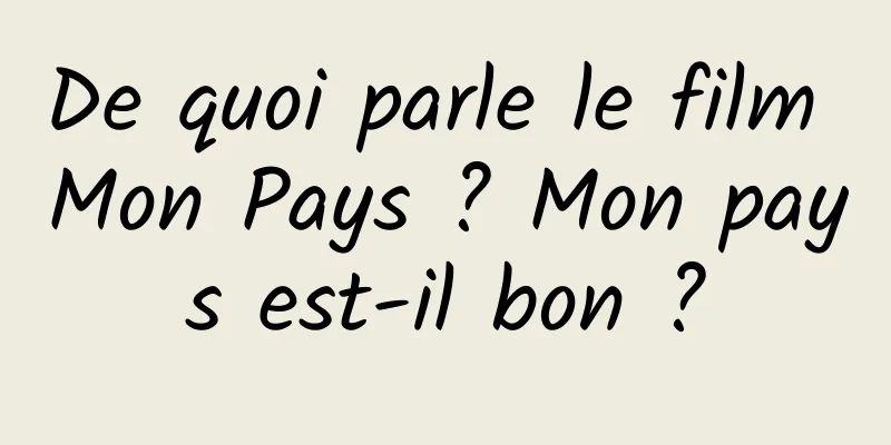 De quoi parle le film Mon Pays ? Mon pays est-il bon ?