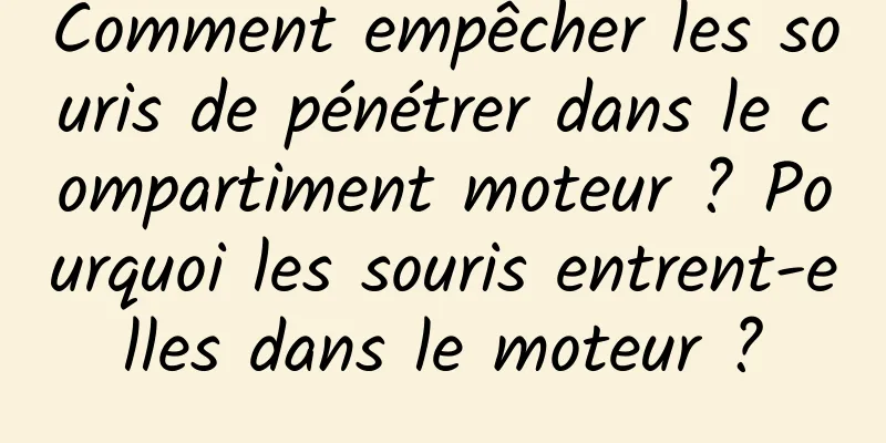 Comment empêcher les souris de pénétrer dans le compartiment moteur ? Pourquoi les souris entrent-elles dans le moteur ?