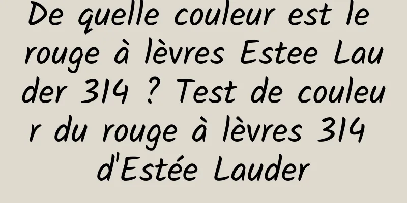 De quelle couleur est le rouge à lèvres Estee Lauder 314 ? Test de couleur du rouge à lèvres 314 d'Estée Lauder