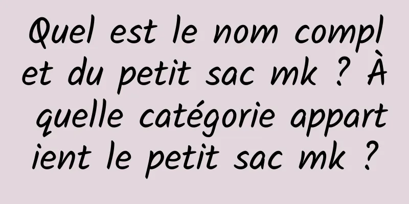 Quel est le nom complet du petit sac mk ? À quelle catégorie appartient le petit sac mk ?