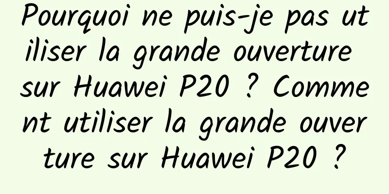Pourquoi ne puis-je pas utiliser la grande ouverture sur Huawei P20 ? Comment utiliser la grande ouverture sur Huawei P20 ?