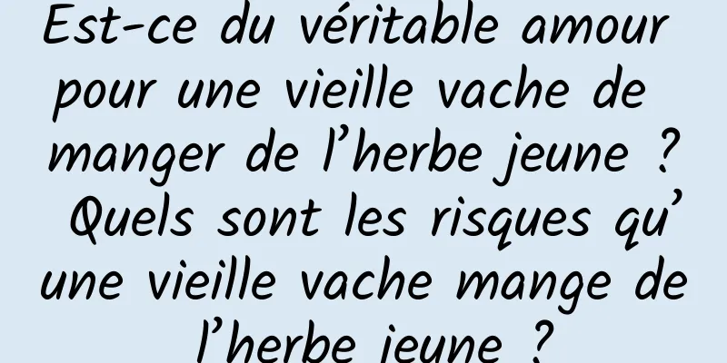 Est-ce du véritable amour pour une vieille vache de manger de l’herbe jeune ? Quels sont les risques qu’une vieille vache mange de l’herbe jeune ?