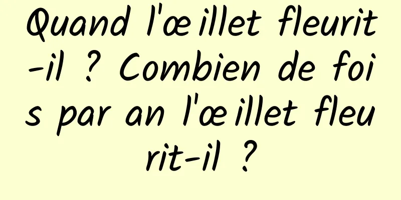 Quand l'œillet fleurit-il ? Combien de fois par an l'œillet fleurit-il ?