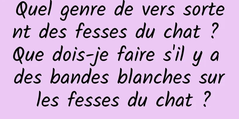 Quel genre de vers sortent des fesses du chat ? Que dois-je faire s'il y a des bandes blanches sur les fesses du chat ?