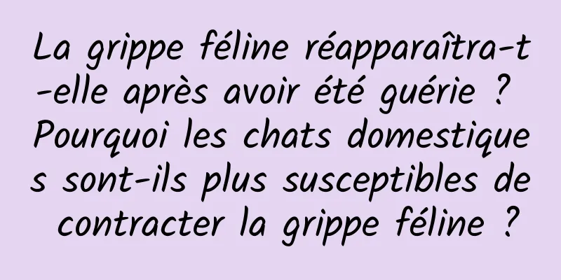La grippe féline réapparaîtra-t-elle après avoir été guérie ? Pourquoi les chats domestiques sont-ils plus susceptibles de contracter la grippe féline ?