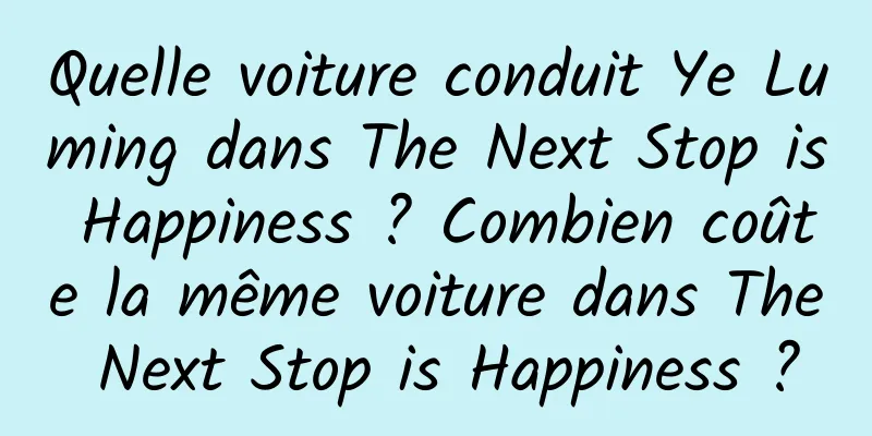 Quelle voiture conduit Ye Luming dans The Next Stop is Happiness ? Combien coûte la même voiture dans The Next Stop is Happiness ?