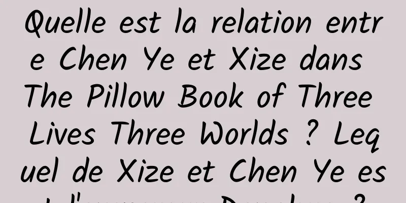 Quelle est la relation entre Chen Ye et Xize dans The Pillow Book of Three Lives Three Worlds ? Lequel de Xize et Chen Ye est l'empereur Donghua ?