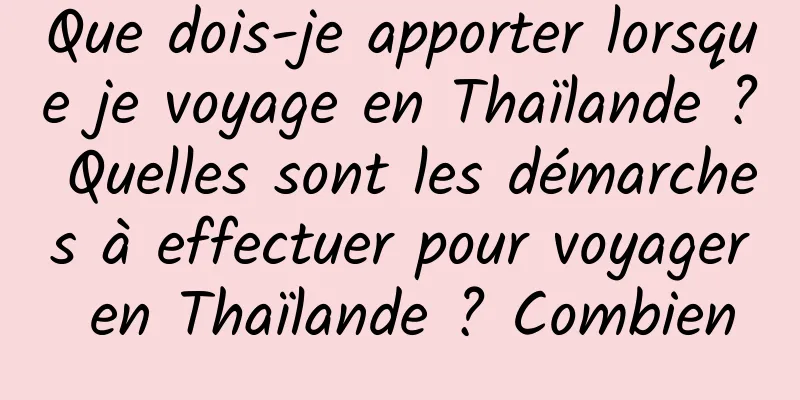 Que dois-je apporter lorsque je voyage en Thaïlande ? Quelles sont les démarches à effectuer pour voyager en Thaïlande ? Combien