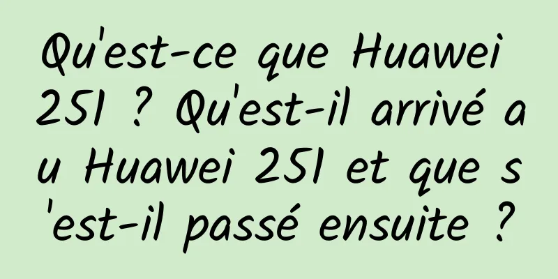 Qu'est-ce que Huawei 251 ? Qu'est-il arrivé au Huawei 251 et que s'est-il passé ensuite ?