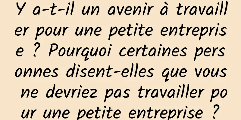 Y a-t-il un avenir à travailler pour une petite entreprise ? Pourquoi certaines personnes disent-elles que vous ne devriez pas travailler pour une petite entreprise ?