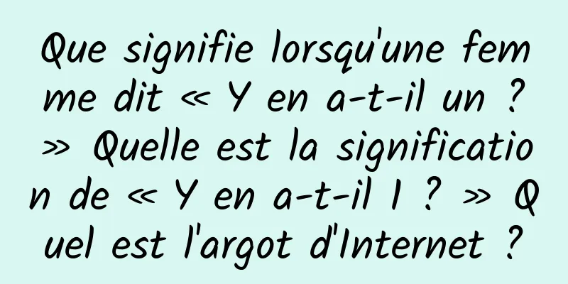 Que signifie lorsqu'une femme dit « Y en a-t-il un ? » Quelle est la signification de « Y en a-t-il 1 ? » Quel est l'argot d'Internet ?