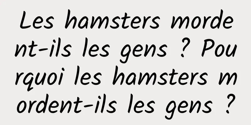 Les hamsters mordent-ils les gens ? Pourquoi les hamsters mordent-ils les gens ?