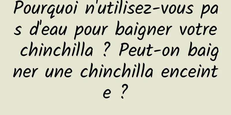 Pourquoi n'utilisez-vous pas d'eau pour baigner votre chinchilla ? Peut-on baigner une chinchilla enceinte ?