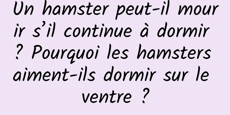 Un hamster peut-il mourir s’il continue à dormir ? Pourquoi les hamsters aiment-ils dormir sur le ventre ?
