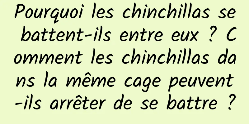 Pourquoi les chinchillas se battent-ils entre eux ? Comment les chinchillas dans la même cage peuvent-ils arrêter de se battre ?