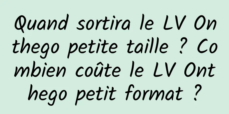 Quand sortira le LV Onthego petite taille ? Combien coûte le LV Onthego petit format ?