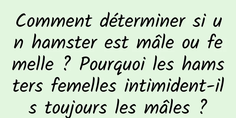 Comment déterminer si un hamster est mâle ou femelle ? Pourquoi les hamsters femelles intimident-ils toujours les mâles ?