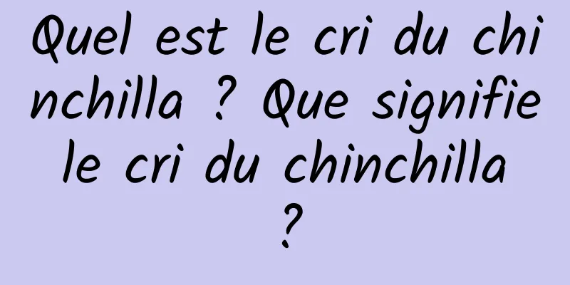 Quel est le cri du chinchilla ? Que signifie le cri du chinchilla ?