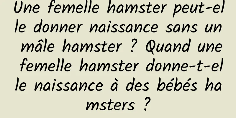 Une femelle hamster peut-elle donner naissance sans un mâle hamster ? Quand une femelle hamster donne-t-elle naissance à des bébés hamsters ?