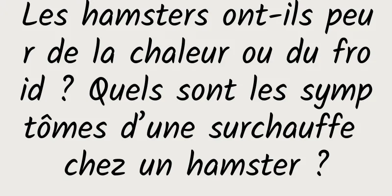 Les hamsters ont-ils peur de la chaleur ou du froid ? Quels sont les symptômes d’une surchauffe chez un hamster ?