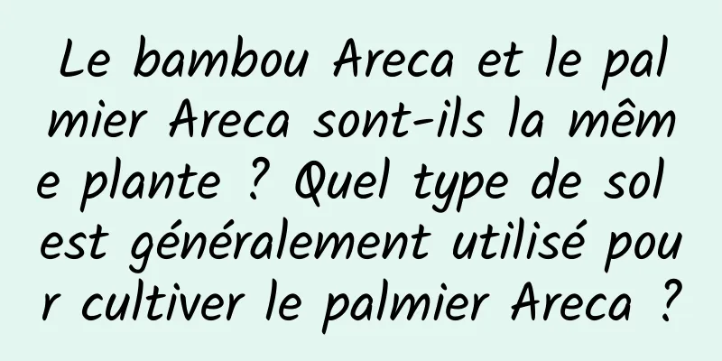Le bambou Areca et le palmier Areca sont-ils la même plante ? Quel type de sol est généralement utilisé pour cultiver le palmier Areca ?