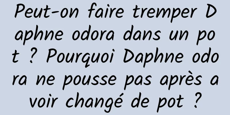 Peut-on faire tremper Daphne odora dans un pot ? Pourquoi Daphne odora ne pousse pas après avoir changé de pot ?
