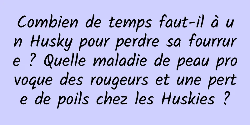 Combien de temps faut-il à un Husky pour perdre sa fourrure ? Quelle maladie de peau provoque des rougeurs et une perte de poils chez les Huskies ?