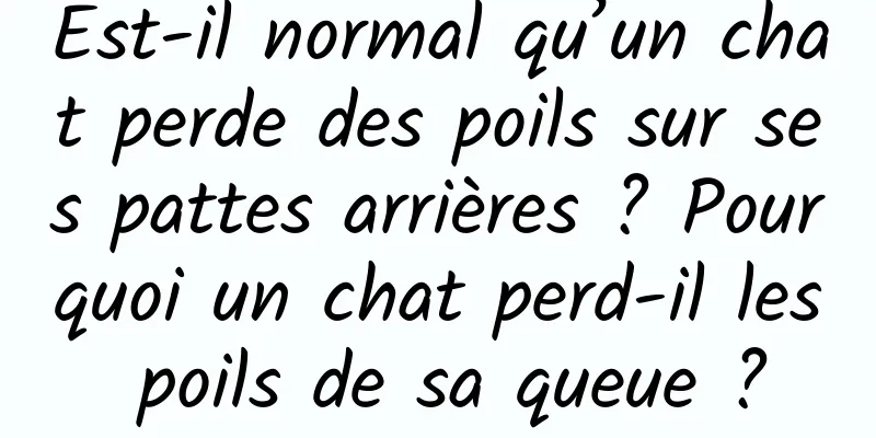Est-il normal qu’un chat perde des poils sur ses pattes arrières ? Pourquoi un chat perd-il les poils de sa queue ?