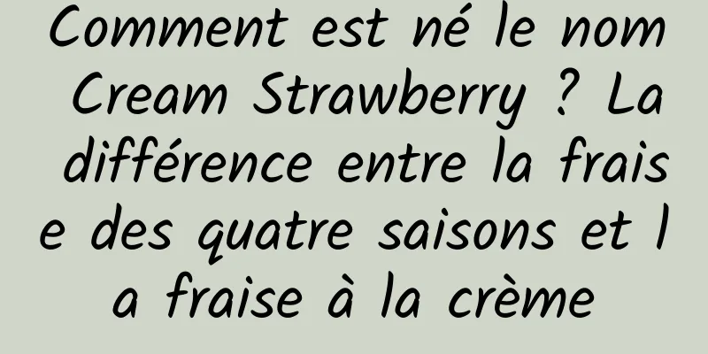 Comment est né le nom Cream Strawberry ? La différence entre la fraise des quatre saisons et la fraise à la crème