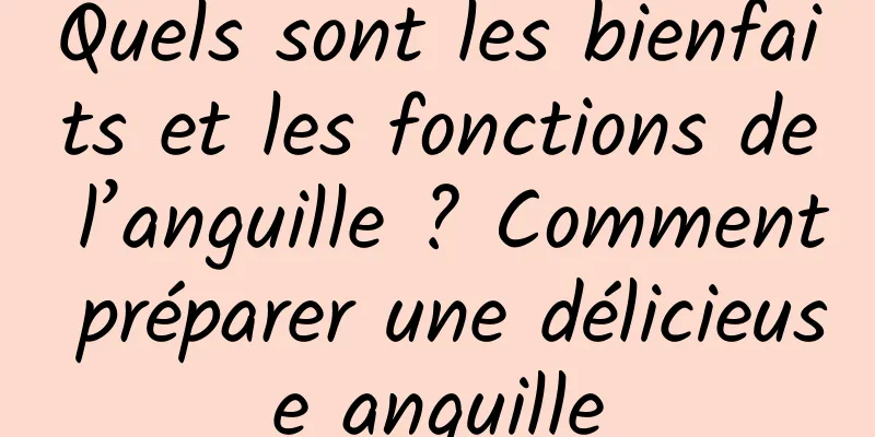 Quels sont les bienfaits et les fonctions de l’anguille ? Comment préparer une délicieuse anguille