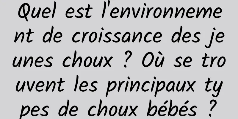 Quel est l'environnement de croissance des jeunes choux ? Où se trouvent les principaux types de choux bébés ?