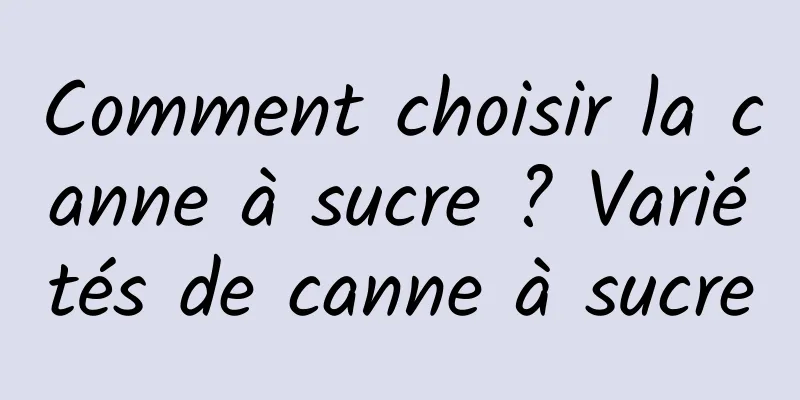 Comment choisir la canne à sucre ? Variétés de canne à sucre