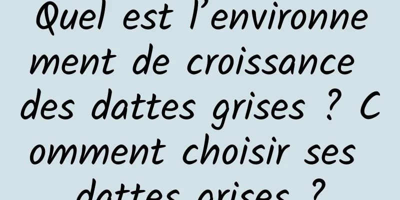 Quel est l’environnement de croissance des dattes grises ? Comment choisir ses dattes grises ?