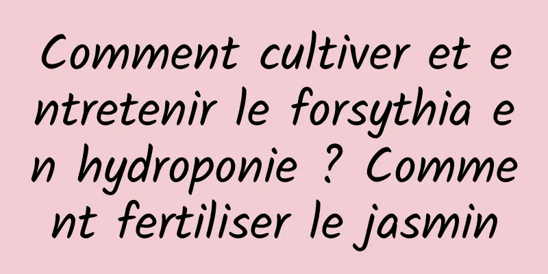Comment cultiver et entretenir le forsythia en hydroponie ? Comment fertiliser le jasmin