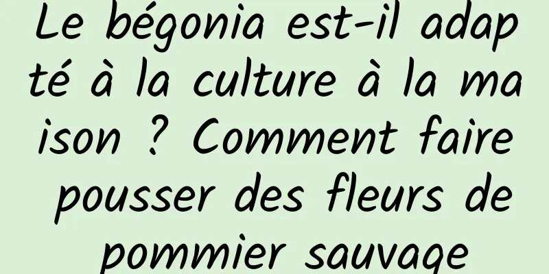Le bégonia est-il adapté à la culture à la maison ? Comment faire pousser des fleurs de pommier sauvage