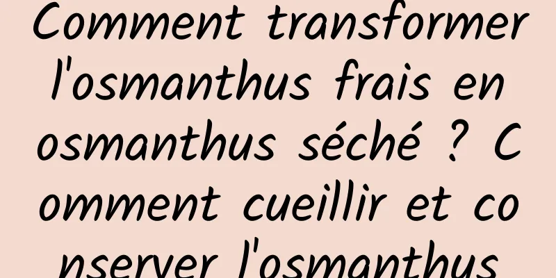 Comment transformer l'osmanthus frais en osmanthus séché ? Comment cueillir et conserver l'osmanthus