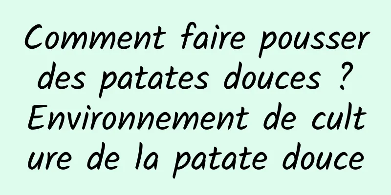 Comment faire pousser des patates douces ? Environnement de culture de la patate douce